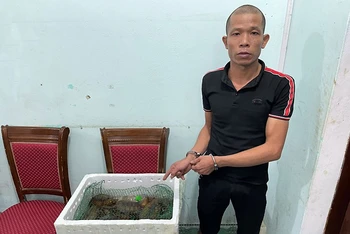 Đối tượng Trần Quang Tuấn cùng 13 cá thể rùa tại Cơ quan công an huyện Hải Hà (Quảng Ninh).