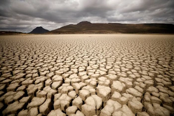 Đất đai nứt nẻ, khô cằn do hạn hán kéo dài tại thị trấn Graaff-Reinet ở Nam Phi ngày 14/11/2019. (Ảnh: Reuters)