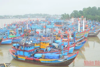 Tàu cá ngư dân Quảng Ngãi vào bờ tránh trú áp thấp nhiệt đới. (Ảnh: HIỂN CỪ). 