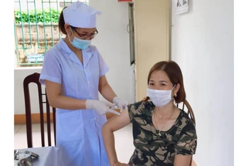 Bác sĩ Trạm Y tế xã Tân Phong, huyện Vũ Thư (tỉnh Thái Bình) triển khai tiêm 150 liều vaccine được phân bổ cho đối tượng ưu tiên.