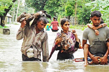 Lũ lụt tại Bangladesh khiến người dân nghèo mất nhà cửa và sinh kế. Ảnh: CONCERN WORLDWIDE US