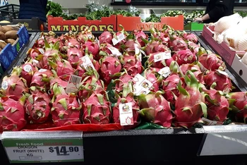 Thanh long Việt Nam phủ sắc đỏ, chiếm một góc lớn so với các quả khác tại siêu thị Thaikee, trung tâm Sydney. (Ảnh: Thương vụ Việt Nam tại Australia)