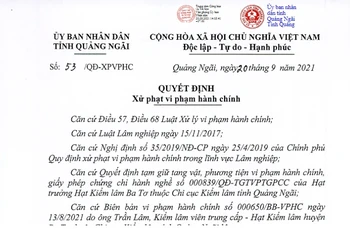 Quyết định số 53/QĐ-XPVPHC của Ủy ban Nhân dân tỉnh Quảng Ngãi. (Ảnh chụp màn hình).