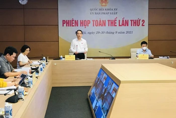 Chủ nhiệm Ủy ban Pháp luật của Quốc hội Hoàng Thanh Tùng phát biểu tại phiên họp.
