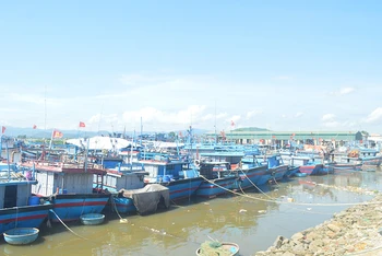 Cảng neo trú tàu, thuyền Mỹ Á, xã Phổ Quang, thị xã Đức Phổ, tỉnh Quảng Ngãi.