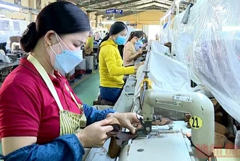 99% lao động của Xí nghiệp giầy Phù Yên đã đi làm lại.