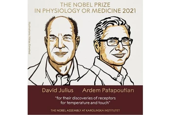 Giải Nobel Y sinh 2021 thuộc về 2 nhà khoa học David Julius và Ardem Patapoutian. (Ảnh: Nobel Prize)