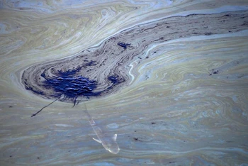Vụ tràn dầu ngoài khơi bờ biển phía nam California được giới chức địa phương mô tả là "thảm họa môi trường". (Ảnh: Reuters)