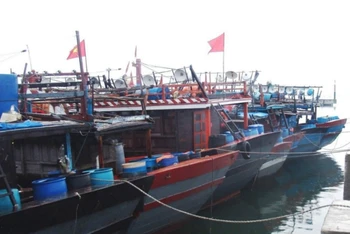 Thừa Thiên Huế sẽ hoàn tất công tác kêu gọi tàu thuyền trước 10 giờ ngày 7/10.