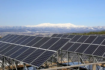 Các tấm pin mặt trời tại cánh đồng năng lượng mặt trời ở Kawasaki, gần Tokyo, Nhật Bản. (Ảnh: Reuters)