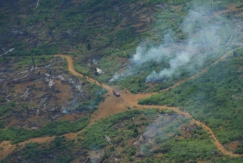 Khói bốc lên từ 1 đám cháy ở 1 khu vực rừng Amazon bị tàn phá tại bang Rondonia, Brazil ngày 28/9/2021. (Ảnh: Reuters)