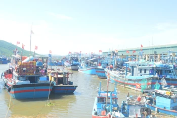 Các cảng cá, bến cá trên địa bàn Quảng Ngãi hoạt động trở lại. 