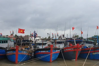 Toàn bộ tàu thuyền Nghệ An đã vào nơi trú đậu an toàn.