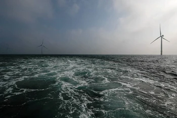 Các tuabin gió tại trang trại điện gió ngoài khơi Eneco Luchterduinen gần Amsterdam, Hà Lan ngày 26/9/2017. (Ảnh: Reuters)