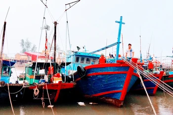 Tàu về neo đậu tại bến cá Ngọc Hải, quận Đồ Sơn (Hải Phòng) tránh trú bão.