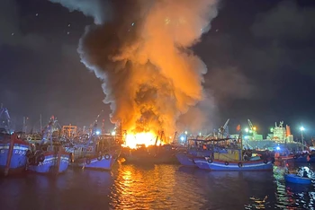 Vụ cháy xảy ra tại vị trí gần với Công ty Cổ phần Tân Cảng Quy Nhơn.