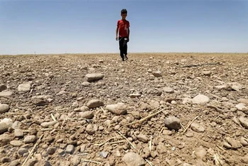 Một cánh đồng khô nứt nẻ do hạn hán kéo dài tại Diyala, Iraq. (Ảnh: AFP/TTXVN)
