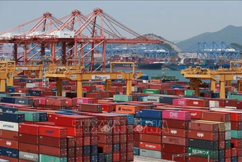 Container hàng hóa tại cảng Busan. (Ảnh: YONHAP/TTXVN)