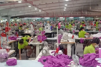 Hàng chục nghìn lao động ở Thái Bình được thụ hưởng hỗ trợ từ Quỹ Bảo hiểm thất nghiệp.