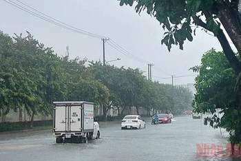 Nhiều tuyến đường nội thị ở TP Tam Kỳ bị ngập nước.