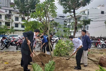 Người dân tham gia trồng cây lớn tại Công viên Đình làng Phước Trường.