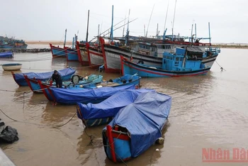 Tàu thuyền của ngư dân thành phố Tuy Hòa đã được hướng dẫn vào nơi tránh trú an toàn dọc Kè Bạch Đằng. 