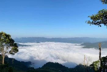 Biển mây trên đỉnh Đồn Đèn, huyện Ba Bể.