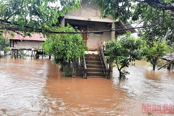 Nhiều nhà dân ở huyện Lắk bị nước lũ cô lập.