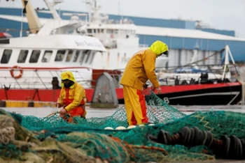Ngư dân Pháp chuẩn bị lưới đánh bắt cá trên biển. (Ảnh Reuters)