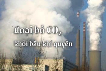 Loại bỏ CO2 khỏi bầu khí quyển