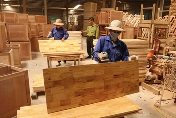 Chế biến gỗ xuất khẩu tại nhà máy của Công ty TNHH Vũ Thịnh (Bắc Giang). (Ảnh: Vũ Sinh)