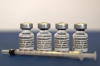 Vaccine ngừa Covid-19 của hãng dược phẩm Pfizer/BioNTech. (Ảnh: AFP/TTXVN)