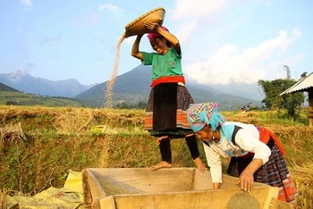 Phụ nữ xã Mường Phăng, Điện Biên tích cực lao động sản xuất, góp phần nâng cao chất lượng cuộc sống, xây dựng nông thôn mới. (Ảnh: NDCT)