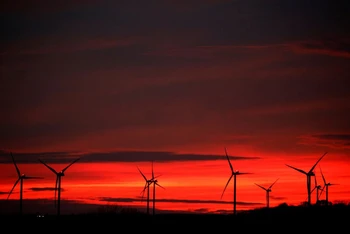 Các turbine điện gió lúc hoàng hôn tại Pháp. Ảnh: Reuters.
