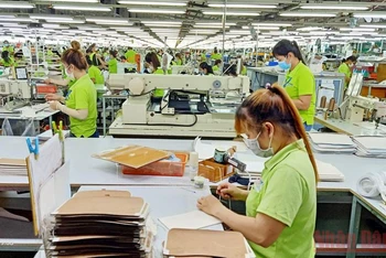 Người lao động tham gia bảo hiểm thất nghiệp được hỗ trợ theo Nghị quyết số 116/NQ-CP của Chính phủ.