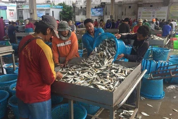 Lao động nhập cư làm việc tại một cảng cá ở tỉnh Samut Sakhon. (Ảnh: Reuters).