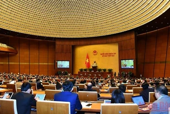 Các đại biểu Quốc hội tham dự phiên họp toàn thể tại hội trường Diên Hồng sáng 09/11. (Ảnh: LINH NGUYÊN)