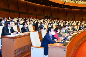 Các đại biểu Quốc hội tham dự phiên họp tại hội trường Diên Hồng. (Ảnh: LINH NGUYÊN)