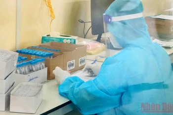 Nhân viên y tế Bệnh viện Đa khoa khu vực Hồng Ngự, tỉnh Đồng Tháp thực hiện xét nghiệm sàng lọc virus SARS-CoV-2. (Ảnh: Hữu Nghĩa)