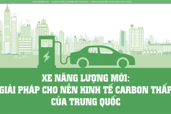 Xe năng lượng mới: Giải pháp cho nền kinh tế carbon thấp của Trung Quốc