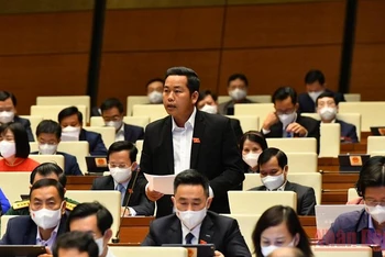 Đại biểu Dương Tấn Quân (Bà Rịa - Vũng Tàu) phát biểu tại phiên thảo luận của Quốc hội ngày 8/11. (Ảnh: LINH NGUYÊN)
