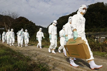 Các quan chức đến khảo sát một trang trại nghi là ổ dịch cúm gia cầm ở miền tây Nhật Bản năm 2020. (Ảnh: Reuters)
