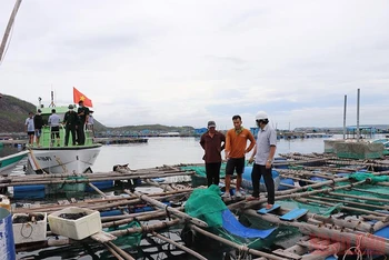 Lực lượng chức năng kiểm tra, vận động người dân di dời lồng bè lấn chiếm luồng tuyến vào khu neo đậu tránh trú bão cho tàu cá vịnh Xuân Đài.
