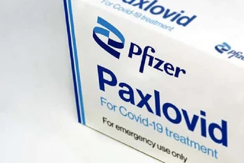 Thuốc Paxlovid do hãng dược phẩm Pfizer của Mỹ phát triển. (Ảnh: Shutterstock)