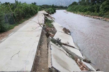 Đường bê-tông tuyến đường từ bờ tràn Cây Sung đi Tà Lót, xã Bắc Sơn, huyện Thuận Bắc (Ninh Thuận) bị nước lũ làm xói lở và hư hỏng nặng hơn 60m.