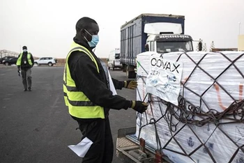 Nhân viên bốc dỡ một lô vaccine ngừa Covid-19 của hãng AstraZeneca/Oxford, được viện trợ theo chương trình COVAX, tại Dakar (Senegal) hồi tháng 3/2021. (Ảnh: AFP/TTXVN)
