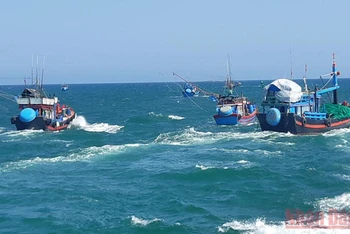 Tàu cá của ngư dân Quảng Ngãi vươn khơi bám biển xa. 