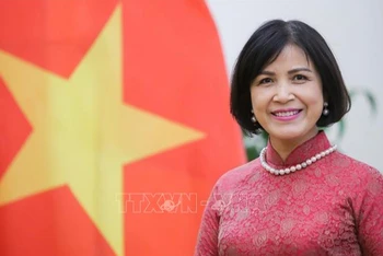 Đại sứ Lê Thị Tuyết Mai, Trưởng Phái đoàn đại diện thường trực Việt Nam bên cạnh Liên hợp quốc, WTO và các tổ chức quốc tế khác tại Geneva. (Ảnh: TTXVN)