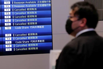 Bảng theo dõi chuyến bay tại sân bay Haneda, Nhật Bản, ngày 29/11. (Ảnh: Reuters)