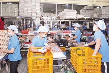 Sản xuất tại Công ty cổ phần thực phẩm Vĩnh Thành Đạt (Ảnh minh họa: Phương Vy).